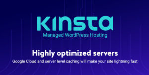 Kinsta Google WordPress Cloud Hosting